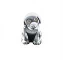 Afbeelding van Goede doel bedel - Adopteer een pup bedel